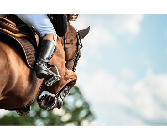 a horse and rider jumping one of the olympic equestrian sports