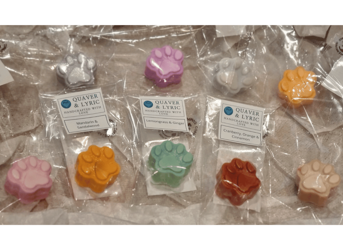 a selection of nine different coloured wax melt paws