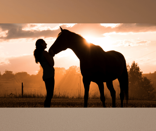 a lady and horse sharing a loving nuzzle with a glorious sunset