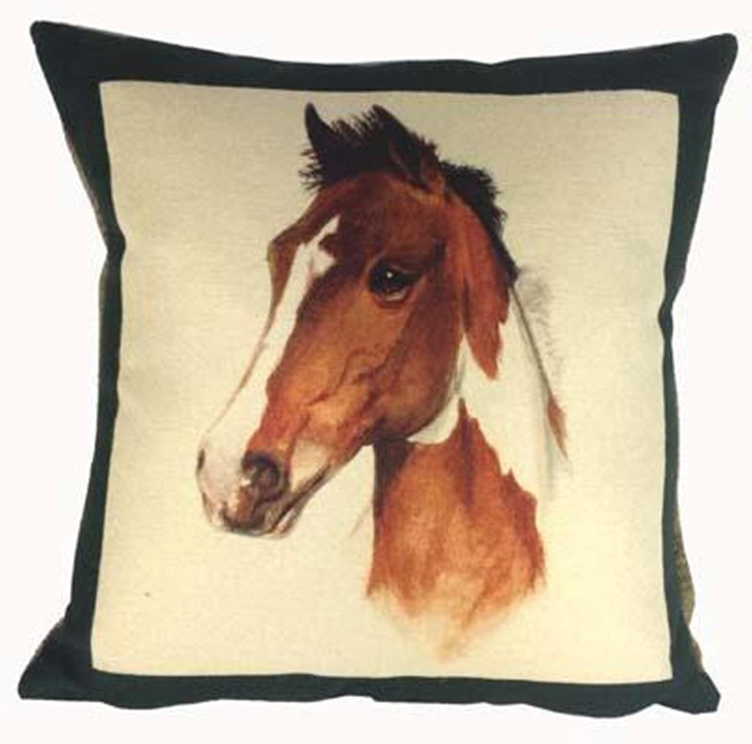 Cushions and Decor