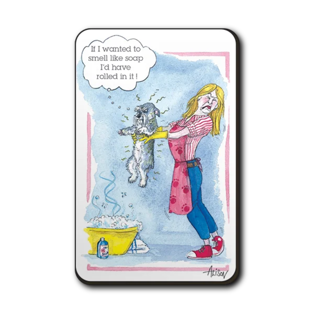 Fridge Magnets