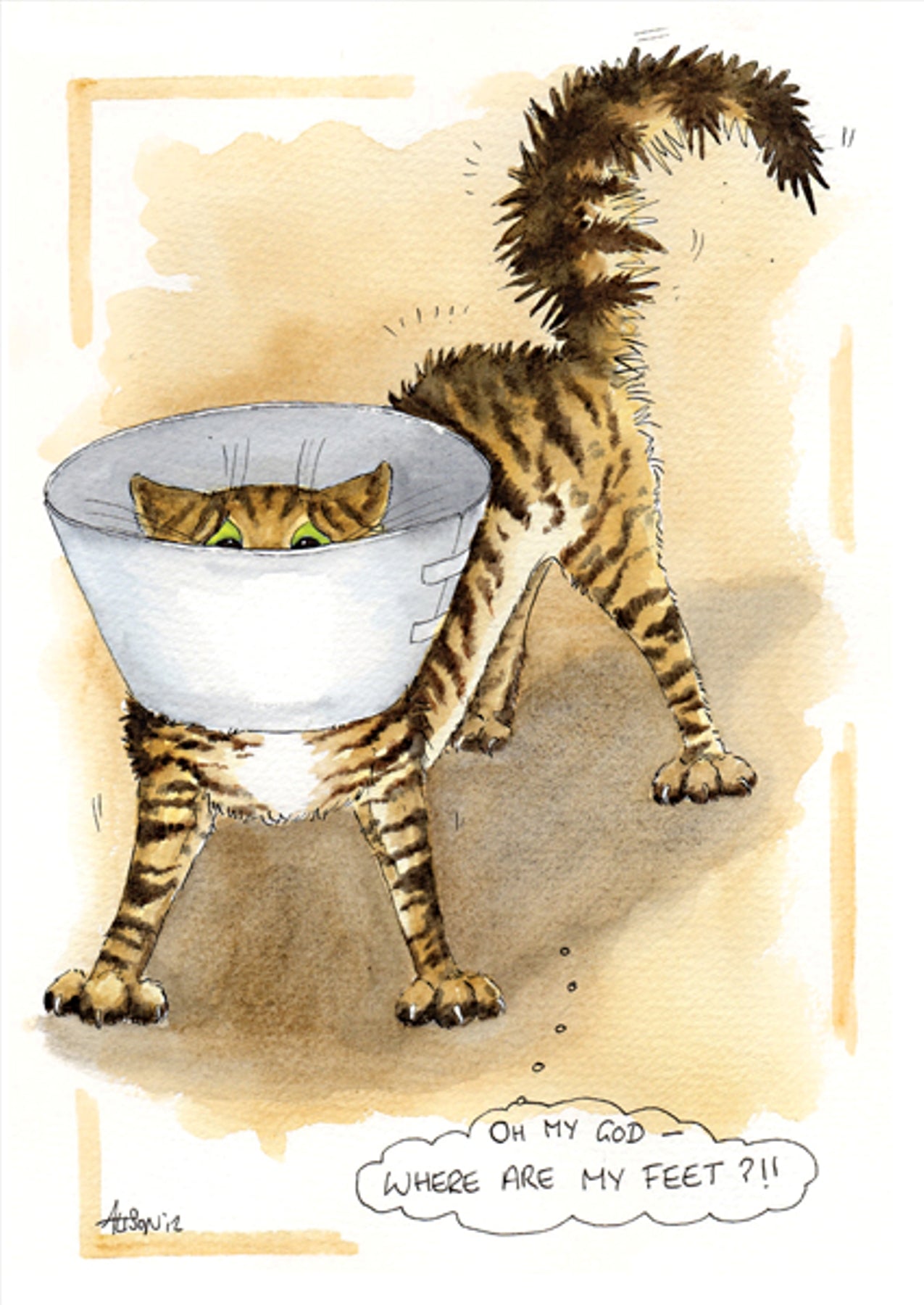 A cartoon cat wearing a cone collar looks down, unable to see its feet. The cat thinks, Oh my god—where are my feet?! conveying confusion and humor.