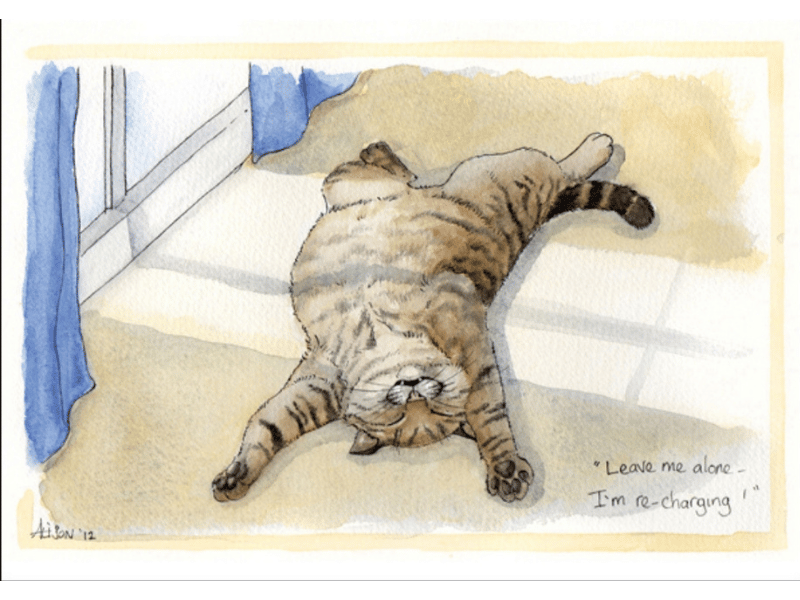 All Greeting Cards