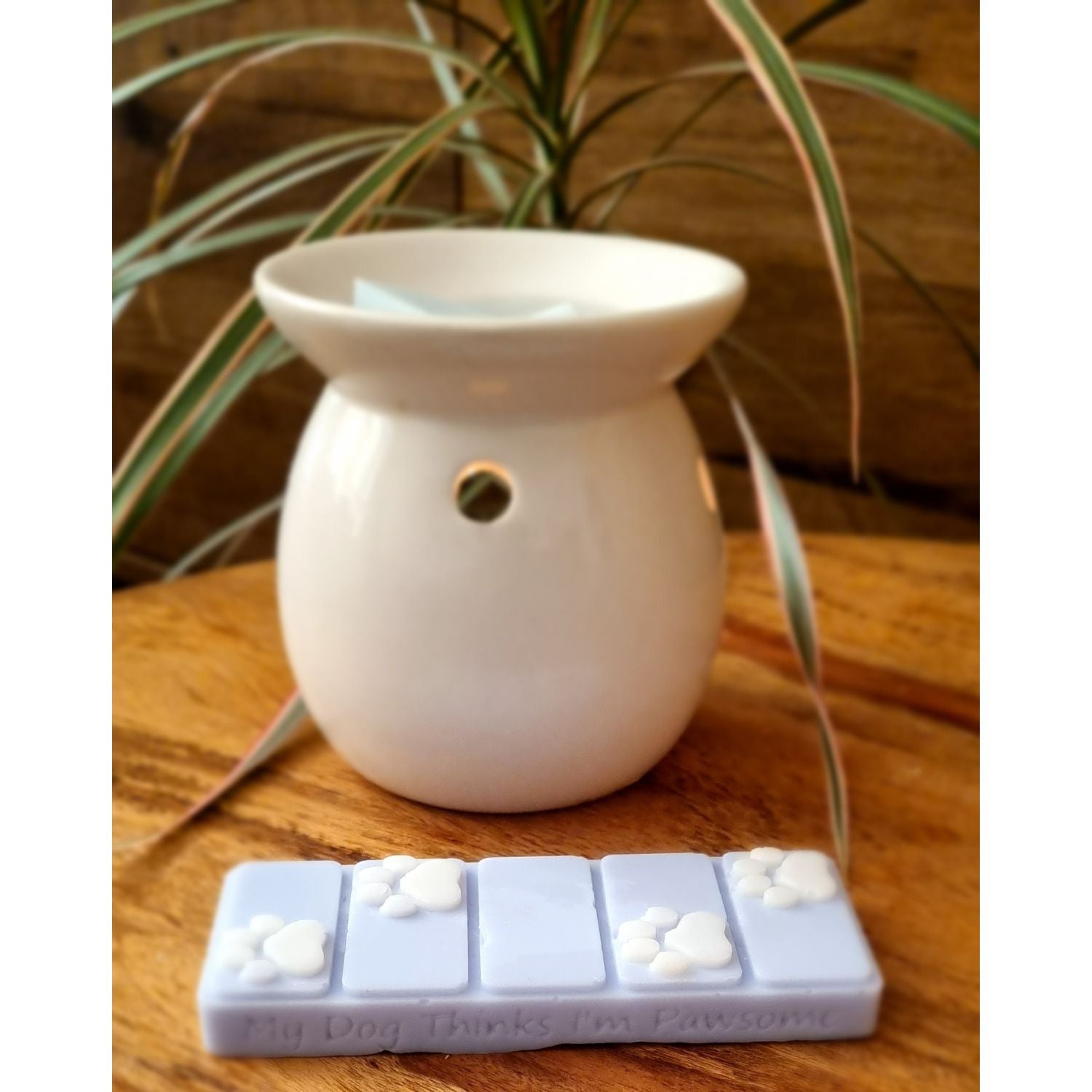 Wax Melts and Warmers