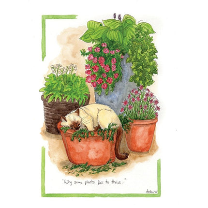 Alisons Animals Funny Cat Card "Why Some Plants Fail To Thrive"