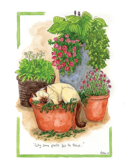 Alisons Animals Funny Cat Card "Why Some Plants Fail To Thrive"