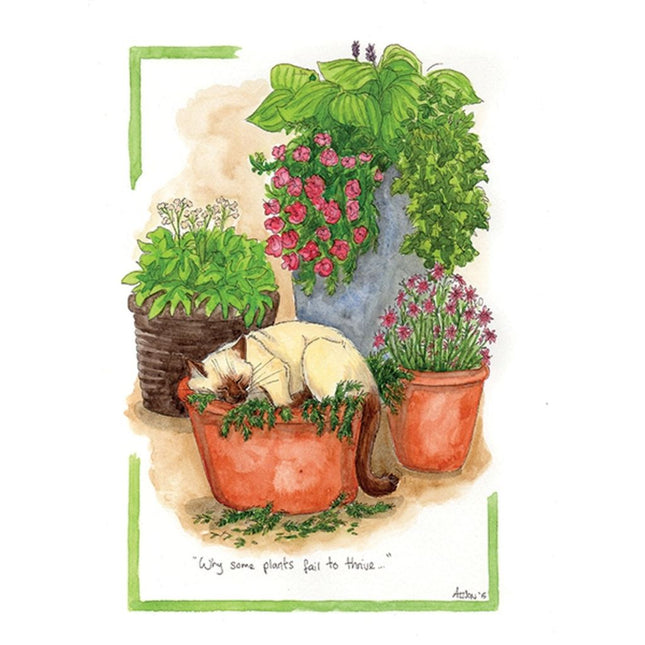 Alisons Animals Funny Cat Card "Why Some Plants Fail To Thrive"