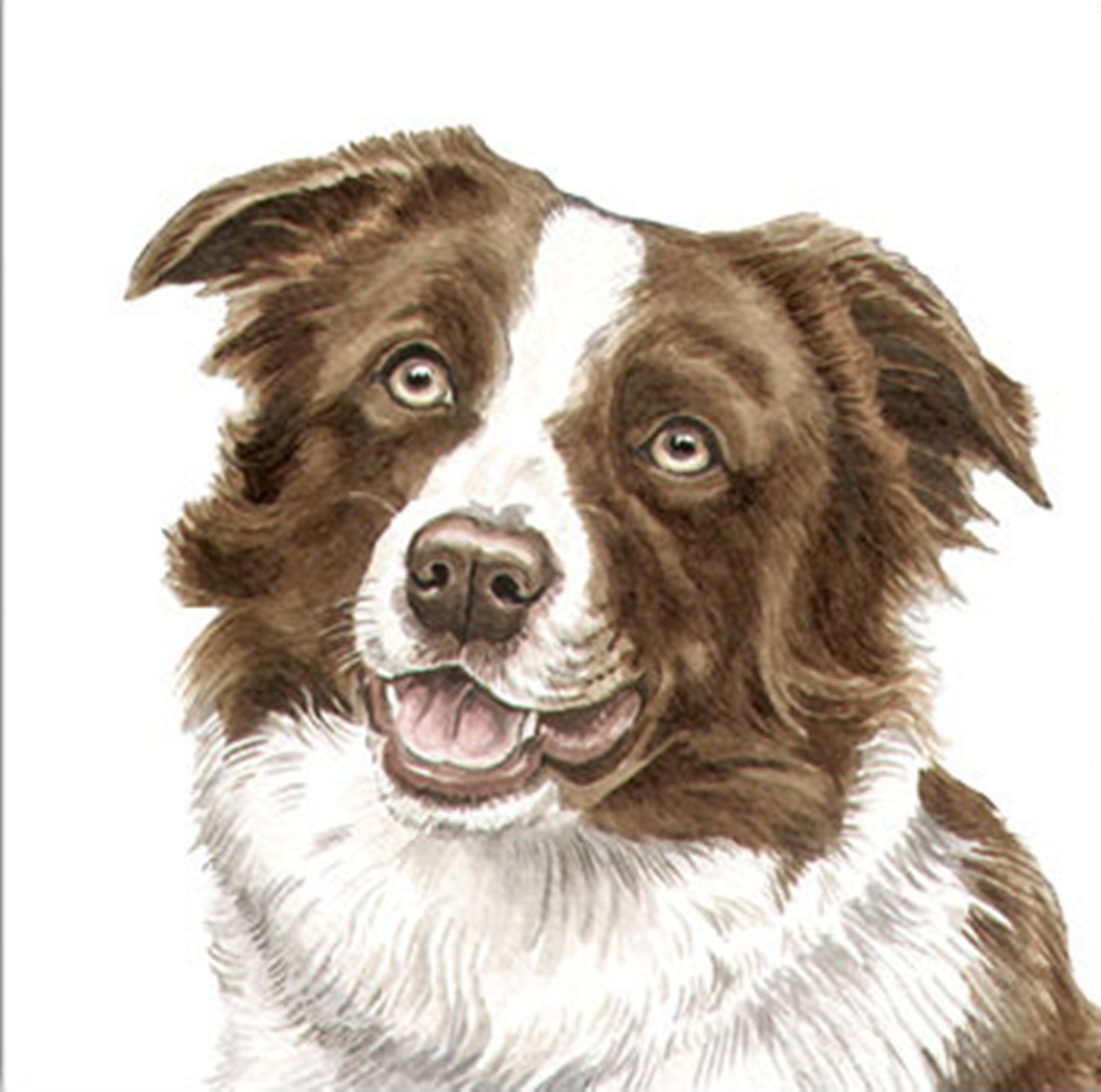 WaggyDogz Blank Greeting Card Border Collie 2