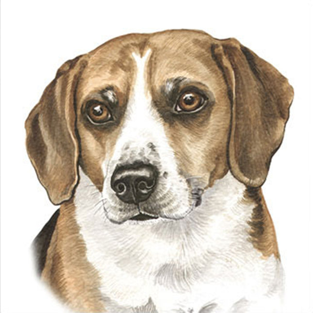 WaggyDogz Blank Greeting Card Beagle