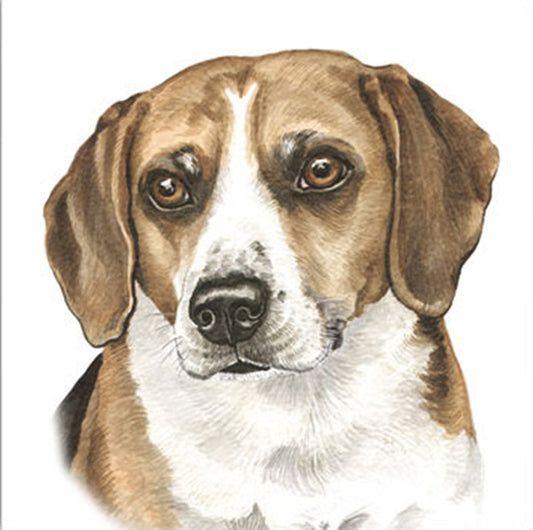 WaggyDogz Blank Greeting Card Beagle