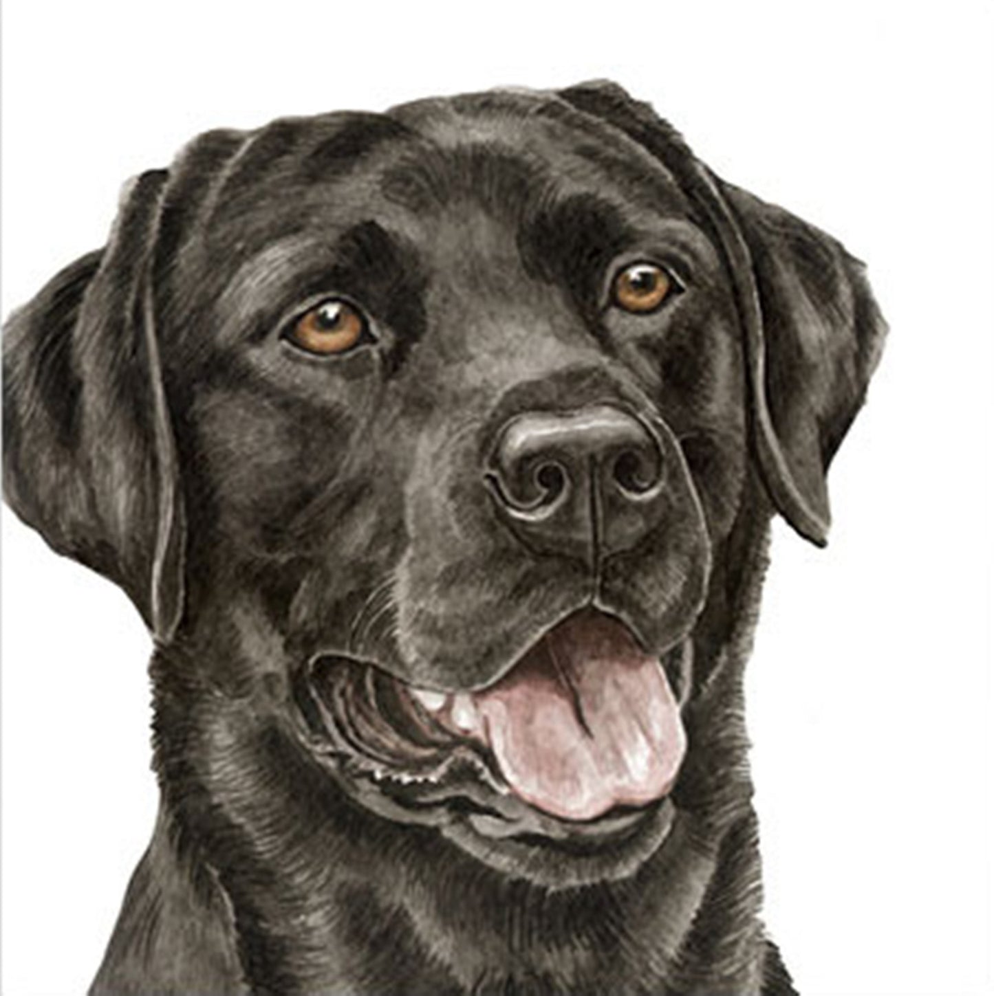 WaggyDogz Blank Greeting Card Black Labrador