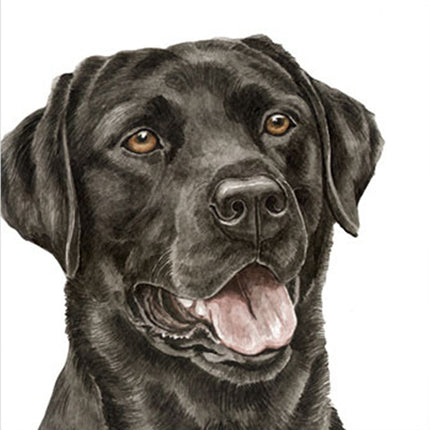 The WaggyDogz Black Lab Greeting Card features a detailed watercolor of a happy black Labrador with brown eyes on a white background—perfect for any dog lover. Blank inside for your personal message.
