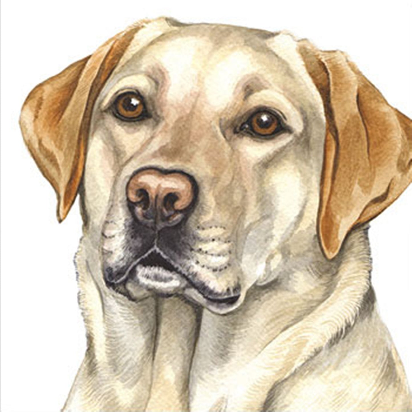 WaggyDogz Blank Greeting Card Golden Labrador