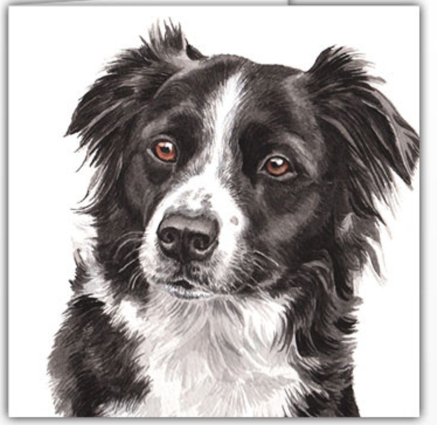 WaggyDogz Blank Greeting Card Border Collie 3