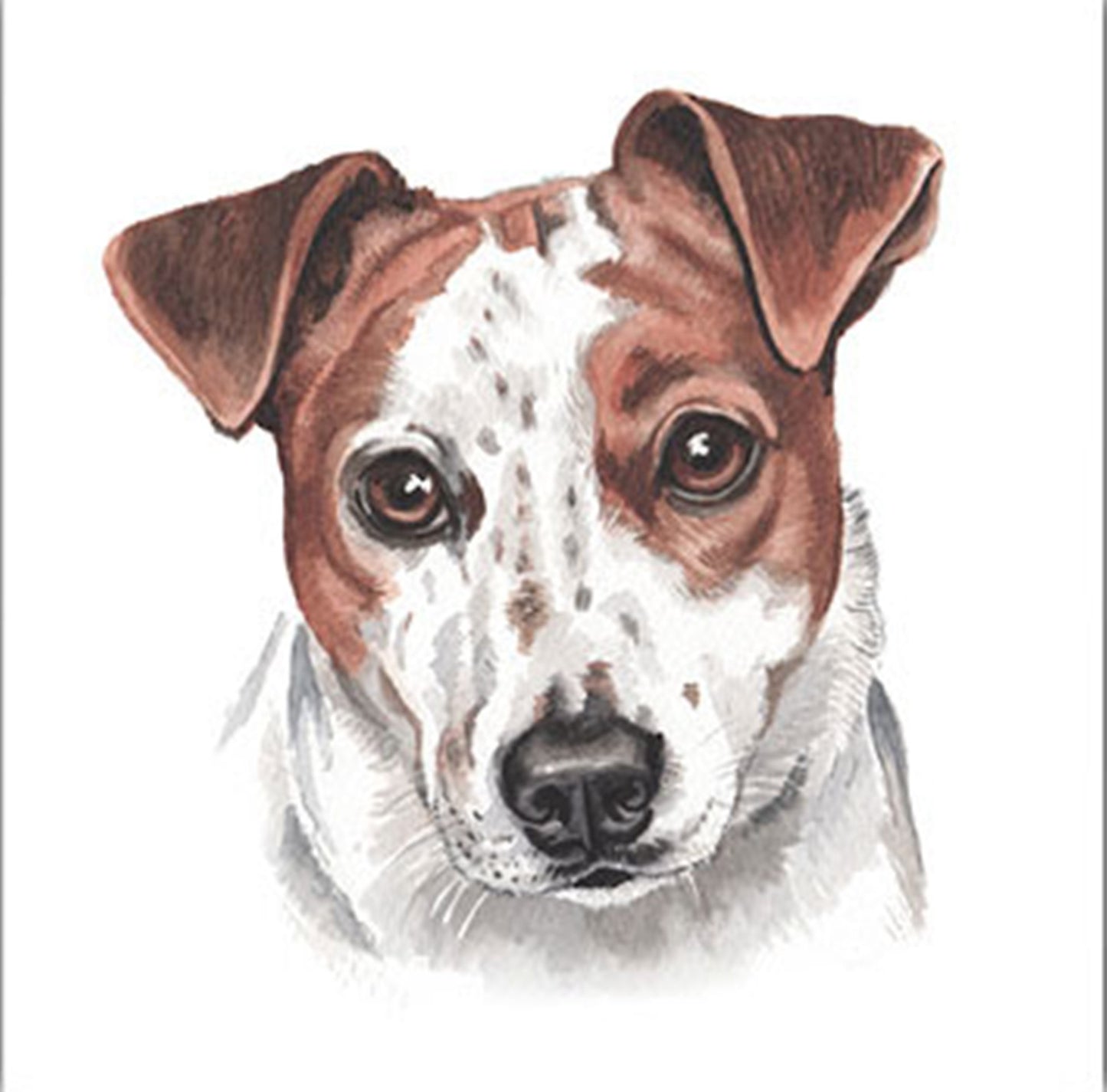 WaggyDogz Blank Greeting Card Jack Russell