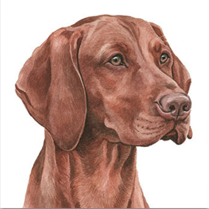 Delicately painted watercolour of a brown Hungarian Vizsla with floppy ears and expressive eyes, facing right on a white background. The WaggyDogz Blank Greeting Card by WaggyDogz is perfect for art lovers and features a satin finish.