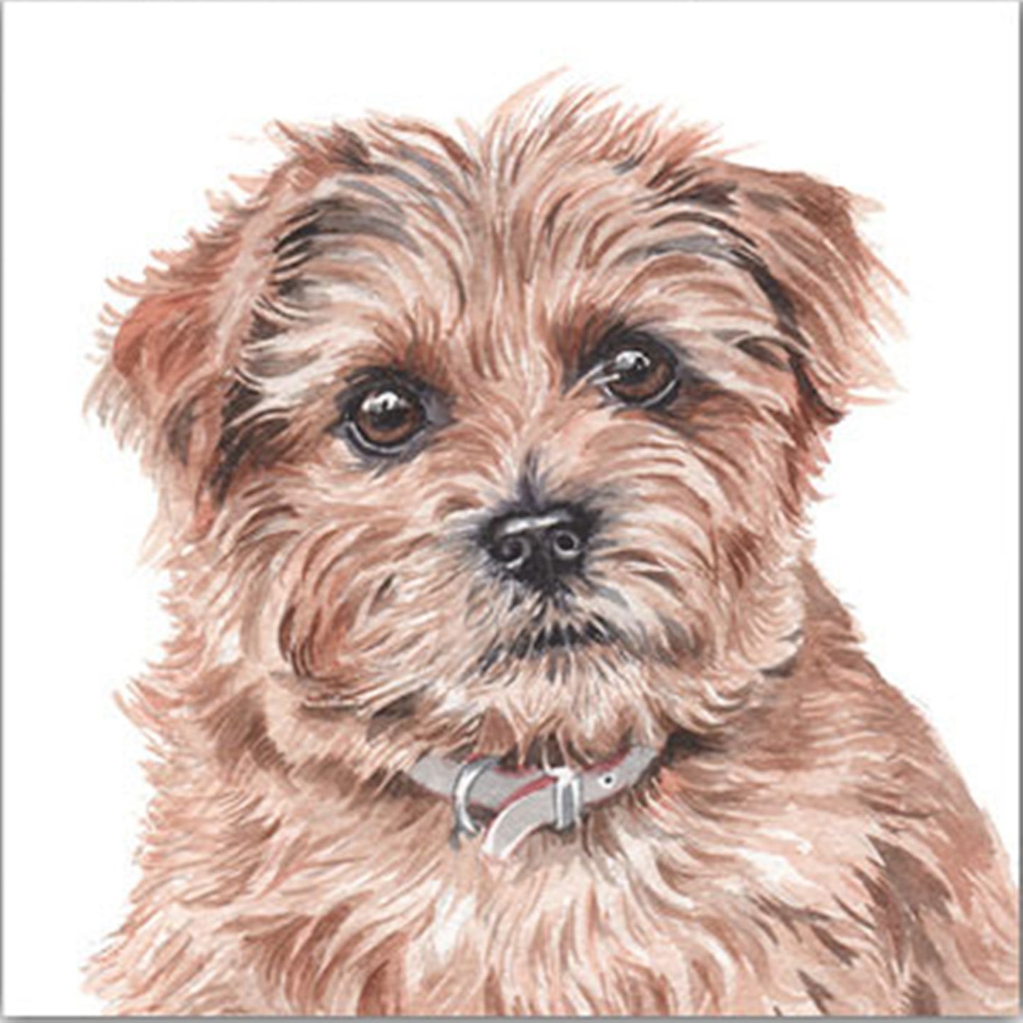 WaggyDogz Blank Greeting Card Norfolk Terrier