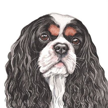 The WaggyDogz Blank Greeting Card features a watercolor illustration of a black and white Cavalier King Charles Spaniel with tan markings, inspired by Christine Varleyâ€”perfect for dog lovers and art enthusiasts.