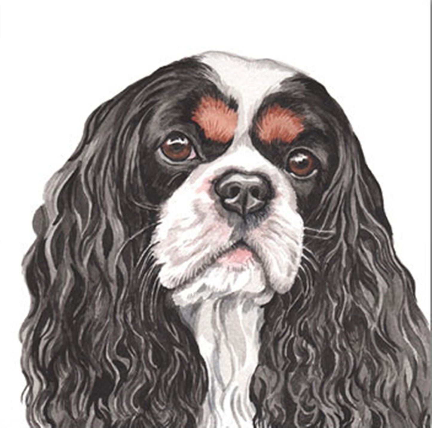 WaggyDogz Blank Greeting Card Cavalier King Charles