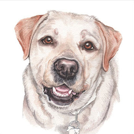 The WaggyDogz Blank Greeting Card Golden Labrador 2 features a detailed watercolor of a light brown Labrador with warm eyes, black nose, and bone-shaped tag, perfect as an art card blank inside. From the WaggyDogz brand.
