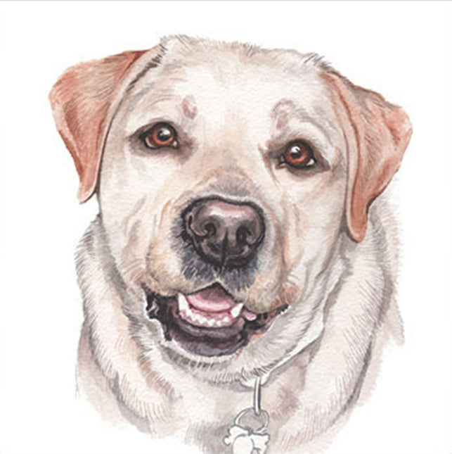 The WaggyDogz Blank Greeting Card Golden Labrador 2 features a detailed watercolor of a light brown Labrador with warm eyes, black nose, and bone-shaped tag, perfect as an art card blank inside. From the WaggyDogz brand.
