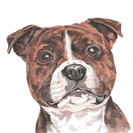 WaggyDogz Blank Greeting Card Staffordshire Bull Terrier 2 features a charming brown and white short-haired dog with upright ears and expressive eyes, set against a plain white background. Brand: WaggyDogz.