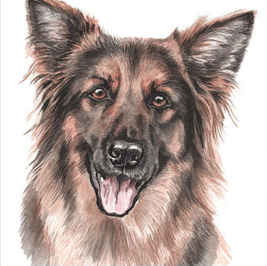 The head and shoulders of a an open mouthed long haired German Shepherd dog with large pointed ears. The colouring of the dog is mostly light brown with some black colouring around its nose, cheeks, head and edges of the ears. The dog has light brown eyes and a shiny black nose.