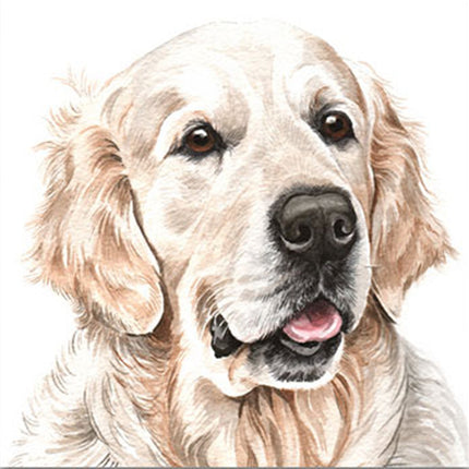 The WaggyDogz Blank Greeting Card Golden Retriever 3 features a detailed watercolor of a Golden Retriever with warm golden fur and expressive brown eyes, perfect for art lovers and fans of the WaggyDogz brand.