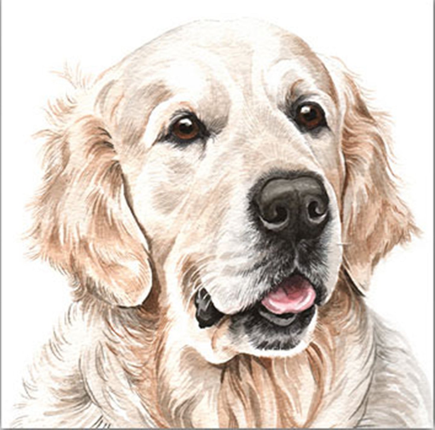 WaggyDogz Blank Greeting Card Golden Retriever 3