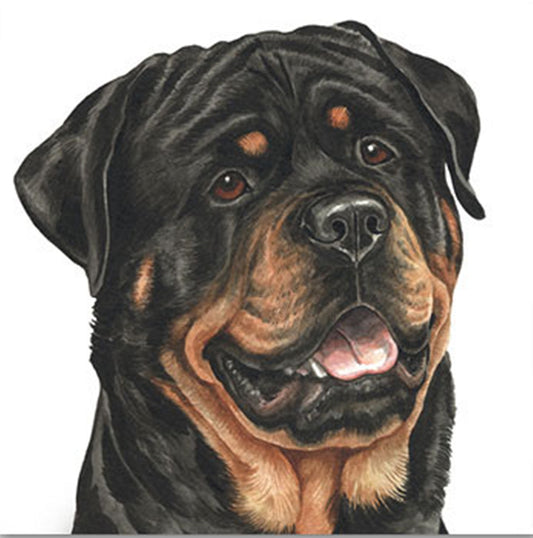 WaggyDogz Blank Greeting Card Rottweiler