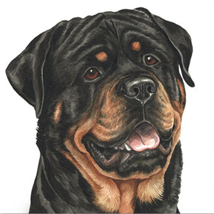 The WaggyDogz Rottweiler Greeting Card features a detailed watercolor of a black and tan Rottweiler with a friendly expression, perfect for sending greetings. Blank inside by WaggyDogz and ideal for dog lovers.