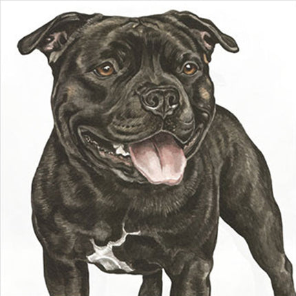 The WaggyDogz Staffordshire Bull Terrier Greeting Card features a happy black Staffie with a white chest patch, facing forward with tongue out. Perfect for dog lovers or as a cheerful blank greeting card.
