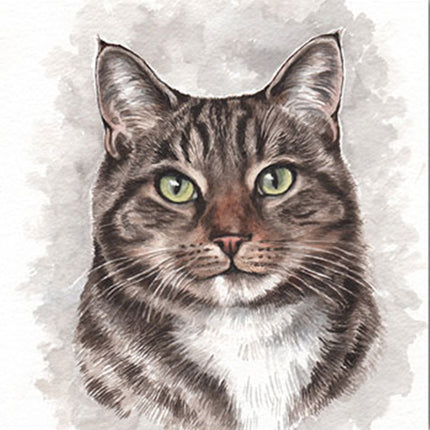 WaggyDogz Blank Greeting Card Tabby Cat