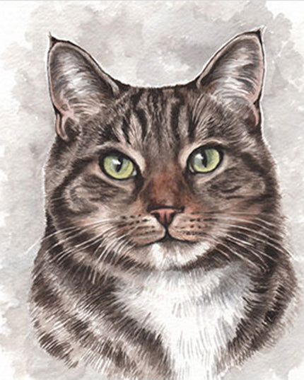 WaggyDogz Blank Greeting Card Tabby Cat