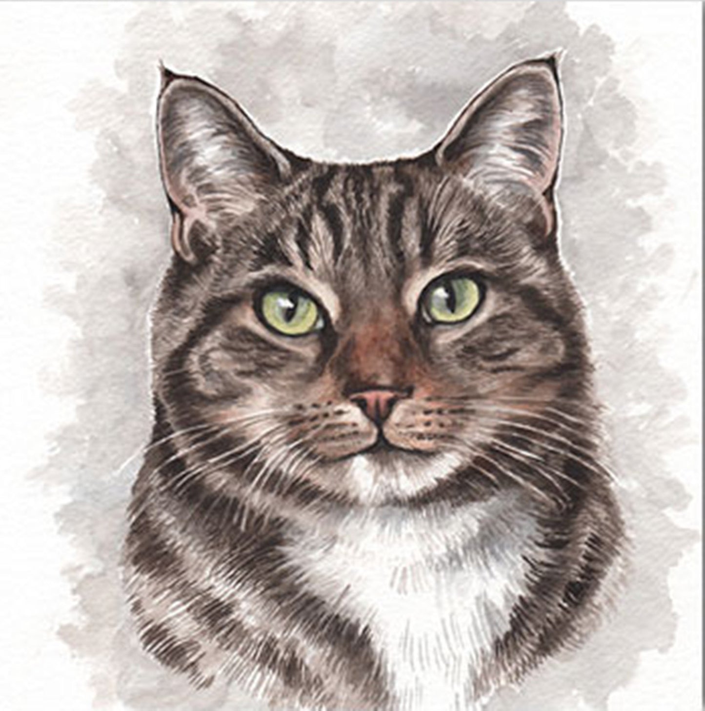 WaggyDogz Blank Greeting Card Tabby Cat