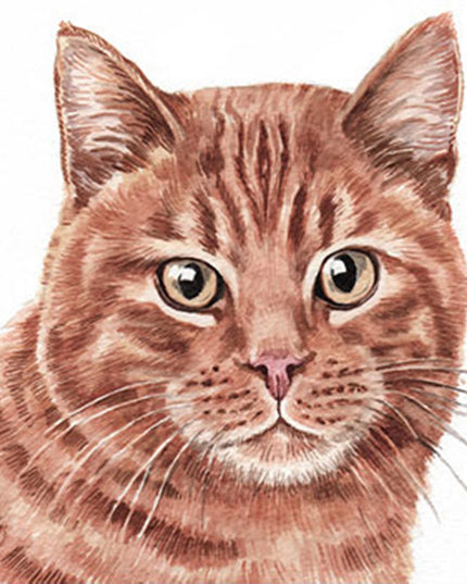 WaggyDogz Blank Greeting Card Ginger Cat