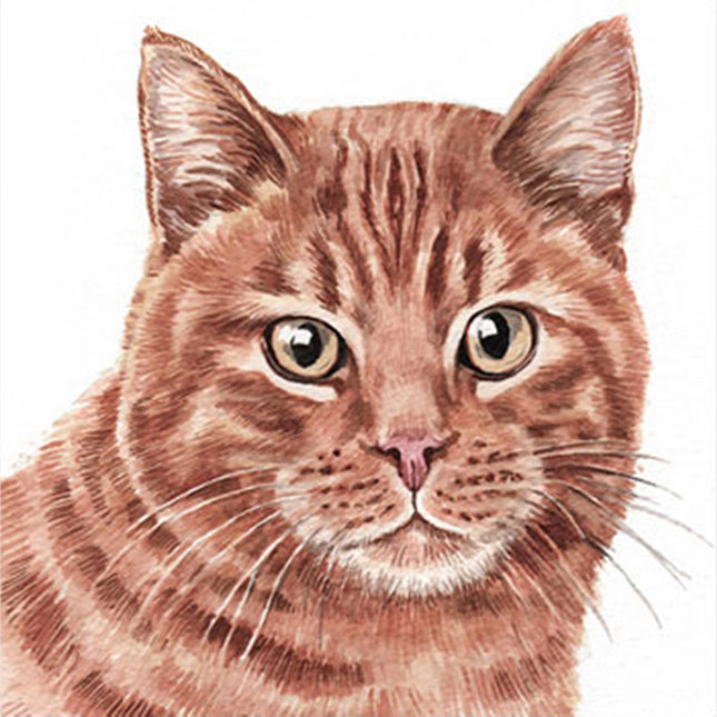 WaggyDogz Blank Greeting Card Ginger Cat