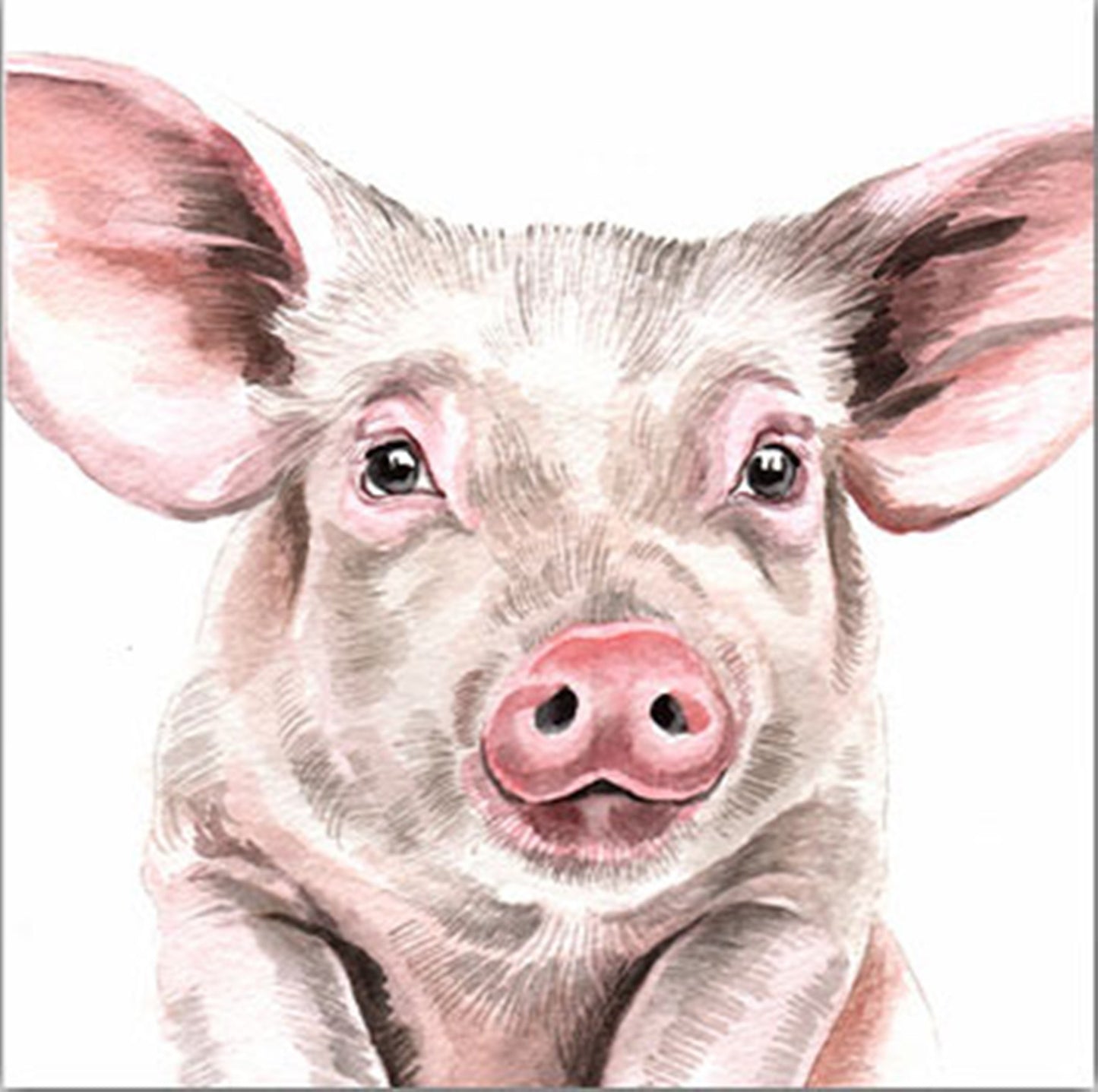 WaggyDogz Blank Greeting Card Pig