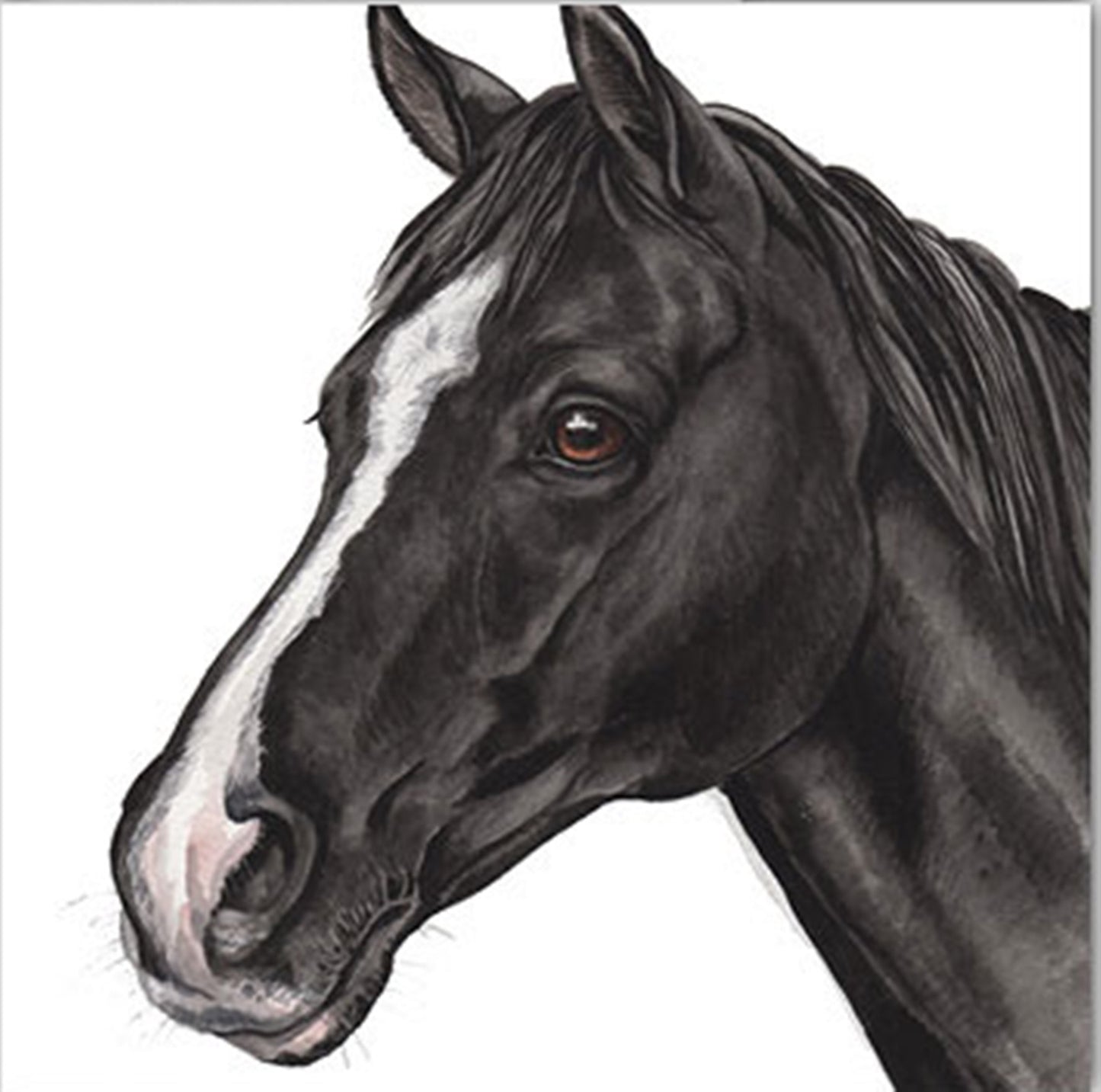 WaggyDogz Blank Greeting Card Black Horse