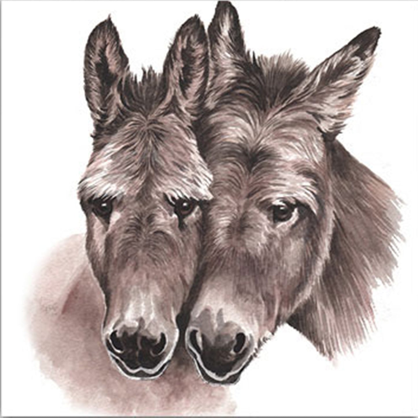 WaggyDogz Blank Greeting Card Donkeys