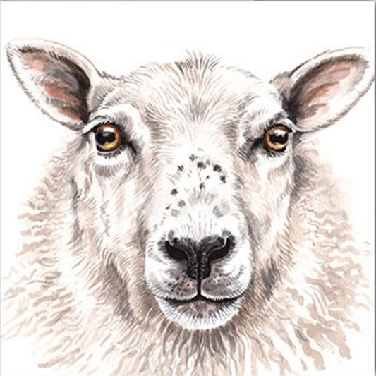 WaggyDogz Blank Greeting Card Sheep