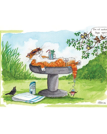 Send a smile with the Animal Greeting Card Alisons Animals Funny Card Cool Cat from Alisons Animals, featuring a laidback orange cat in sunglasses relaxing in a birdbath, as amused birds look on. Perfect for any animal lover!.