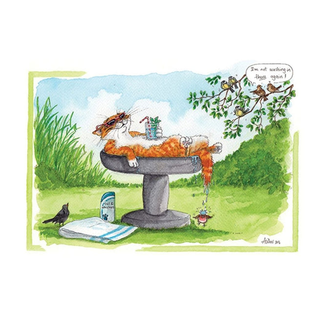 Send a smile with the Animal Greeting Card Alisons Animals Funny Card Cool Cat from Alisons Animals, featuring a laidback orange cat in sunglasses relaxing in a birdbath, as amused birds look on. Perfect for any animal lover!.