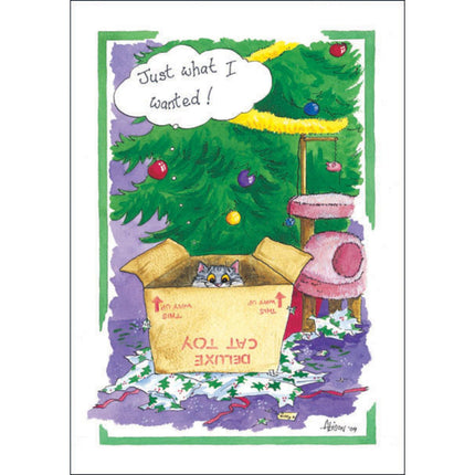 A gray cat peeks from a box beneath a Christmas tree on the Funny Cat Xmas Card Alisons Animals Just What I Wanted by Alisons Animals. Torn wrapping paper and a cat tower surround the adorable scene, with a speech bubble saying, Just what I wanted!.