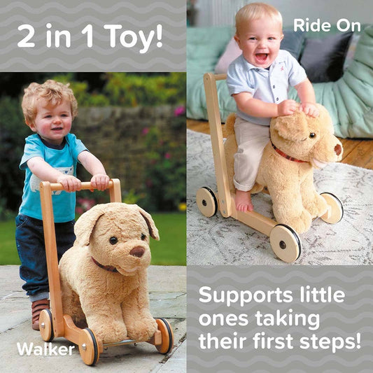 poster showing the 2 in 1 uses of dester the puupy dog toy as an infant push along Walker and Ride On Baby Toy 