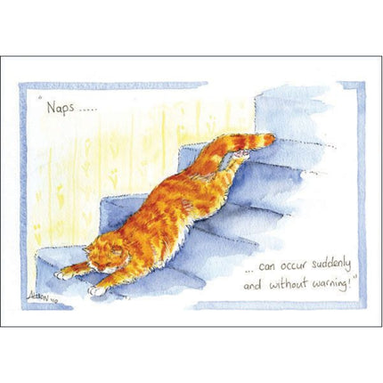 Cat Greeting Card Alisons Animals Funny Naps Can Occur Suddenly