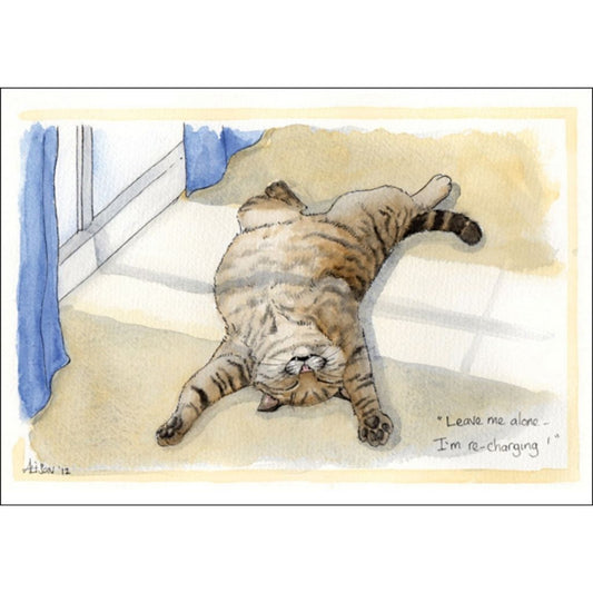 a funny cat greeting card showing a tabby cat lying on his back with sunlight streaming through a window onto his tummy. The caption reads leave me alone i'm recharging