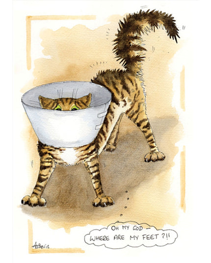 Alisons Animals Funny Cat Card "Where Are My Feet?"