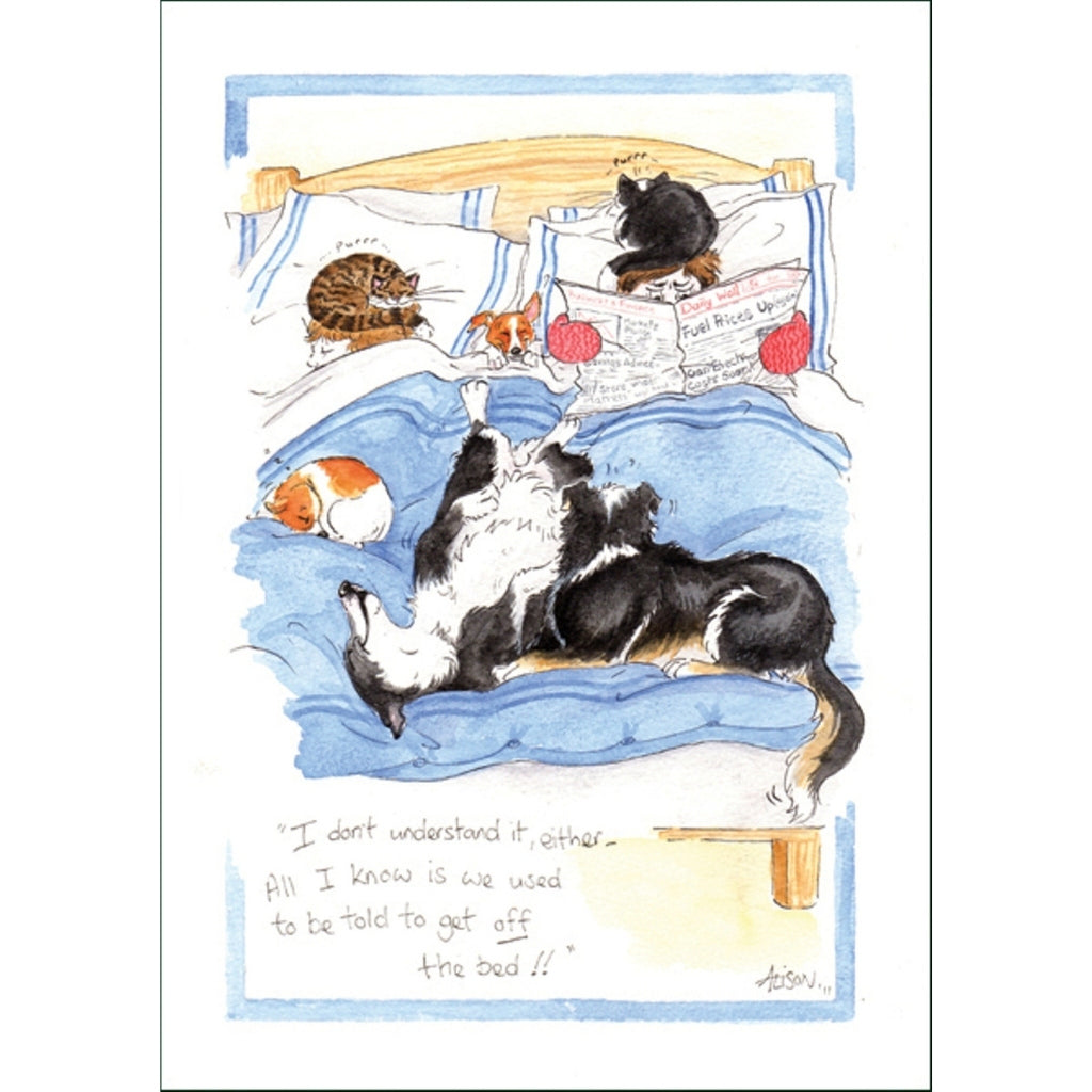 a greeting card showing dogs and cats on a bed