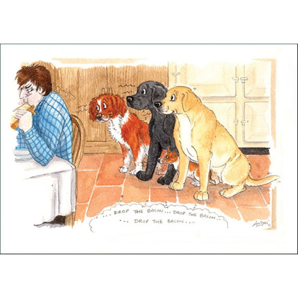 A person eats breakfast as three dogs eagerly watch, hoping for food to drop. The Alisons Animals Funny Dog Card Drop the Bacon by Alisons Animals features this amusing scene with the caption ...DROP THE BACON...DROP THE BACON....